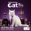 Cat Show in Riyadh
