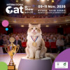 Cat Show in Riyadh