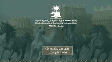 بطولة المملكة الدولية لجمال الخيل العربية الأصيلة - منيفة