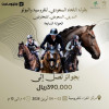 Saudi Equestrian Federation Championship Saudi Professional Show Jumping in Riyadh